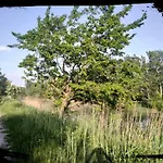 Stradella *