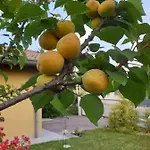 Σπίτι διακοπών Stradella *