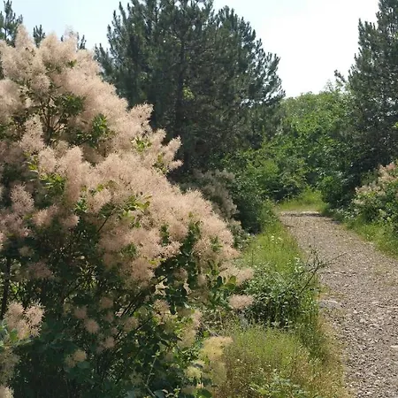 Tatil Evi Stradella Staranzano