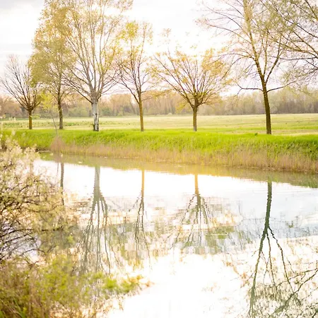 Stradella Verde *