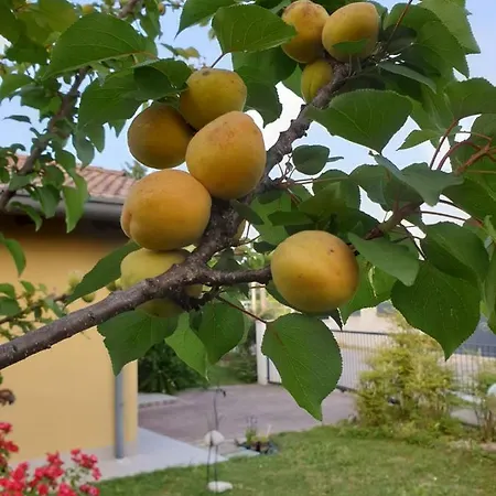 Tatil Evi Stradella *