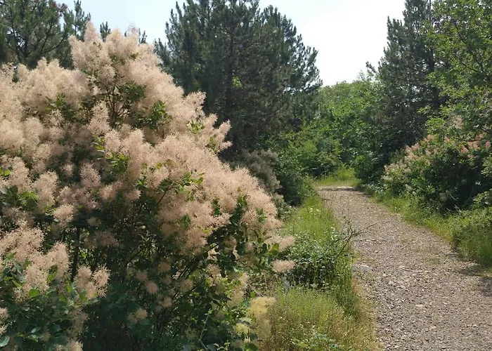 Σπίτι διακοπών Stradella Staranzano