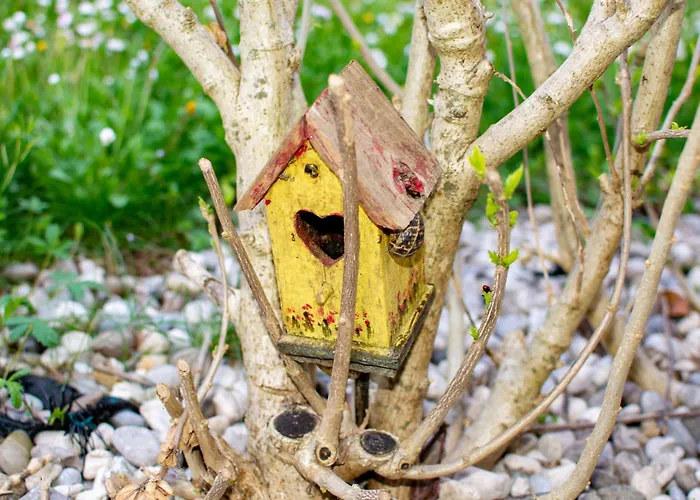 Stradella Staranzano