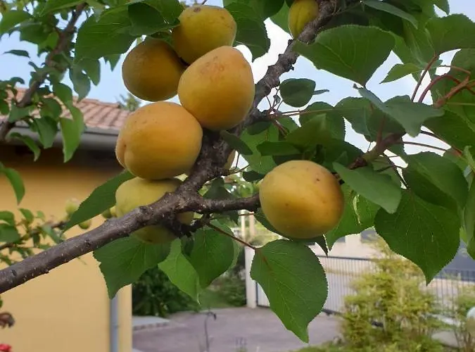 Σπίτι διακοπών Stradella *